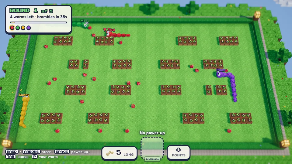 Worm War: cover picture